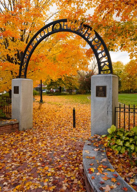 Arch Gate, Garden Gate Design, Park Signage, Pocket Park, Holiday World, Park Forest, Garden Entrance, Entrance Sign, Landscape Design Plans