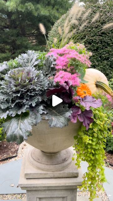 Ann Ludwig Scanlon on Instagram: "Are you ready to update you containers for Fall?  I have you covered!  Comment FALL and I will send you my containers recipe mix of plants.  These containers are perfect for early fall before you transition with the passions of mums and pumpkins  #cottagegarden #fallcontainers #fallplanters #inmygardentoday ##fallinthegarden" Fall Urn, Mums And Pumpkins, Mums In Pumpkins, Fall Containers, Fall Planters, Fall Outdoor Decor, Fall Outdoor, Early Fall, Cottage Garden