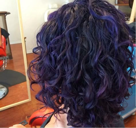 Hair Color For Short Curly Hair Natural Curls, Purple Hair Curly Short, Purple Highlights Curly Hair, Dark Purple Curly Hair, Purple Hair Curly, Cute Hair Dye Ideas For Curly Hair, Colorful Curly Hair, Purple Curly Hair, Curly Purple Hair