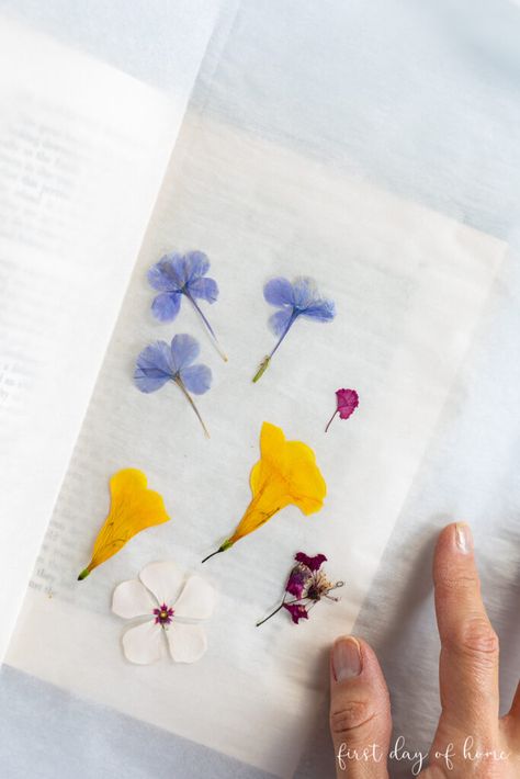 Flower Press Book, Pressed Flower Paper, Crystals Shapes, Flower Kiosk, Microwave Flower Press, Diy Tissue Paper Flowers, Pressed Flowers Diy, Press Flowers, Pressing Flowers