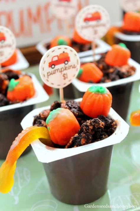 Pumpkin Dirt Cups, Pumpkin Patch Dirt Cups, Chocolate Pudding Cups, Halloween Oreos, Dirt Cups, Pumpkin Cups, Pudding Cups, Gummy Worms, Education Activities