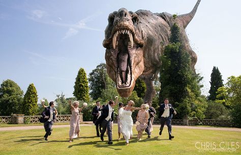 17 Terrifyingly Photoshopped Wedding Photos Dinosaur Wedding Theme, Dinosaur Wedding, Wedding Parties Pictures, Funny Wedding Pictures, Boo Thang, Holy Matrimony, Mexican Theme, Funny Wedding Photos, Creative Wedding Photo