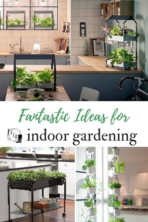 Indoor Gardening Ideas to Grow Food Inside | Family Food Garden Garden Apartment Ideas, Herbs Garden Indoor, Grow Food Inside, Decor Business Ideas, Home Decor Business Ideas, Indoor Gardening Ideas, Indoor Hydroponic Gardening, Indoor Garden Apartment, Growing Vegetables Indoors