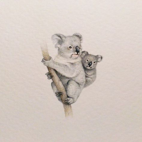 I Started Drawing Miniature Paintings Because I Did Not Have Time For Bigger Drawings And Now It's My Passion Koala Tattoo, Koala Illustration, Koala Drawing, Easy People Drawings, Bear Drawing, Miniature Paintings, Baby Koala, Mom Baby, Animals Artwork