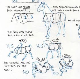 Gurney Journey: Horse Torso Horse Drawing Tutorial, Disney Horses, Horse Anatomy, Barrel Saddle, Animal Study, Special Place In My Heart, Horse Drawing, Horse Drawings, Creature Drawings