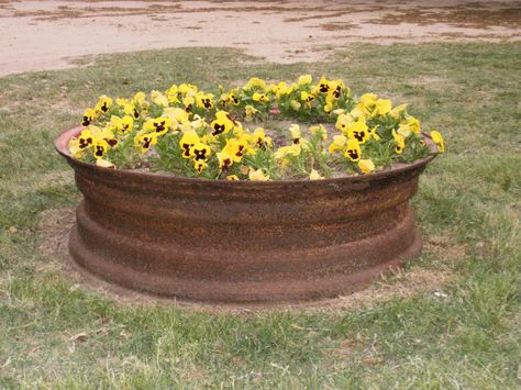 Old Tractor Wheel Ideas, Old Tractor Landscaping, Tool Decorations, Farm Landscaping, Tractor Decor, Tractor Wheels, Evergreen Landscape, Fire Pit Landscaping, Porch Decorations