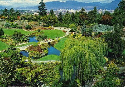 Queen Elizabeth Park, Vancouver, B. C  My favorite small park EVER West Coast Canada, Vintage Vancouver, Adventure Goals, Queen Elizabeth Park, Postcard Vintage, West Vancouver, Mountain Park, Vancouver British Columbia, North Vancouver