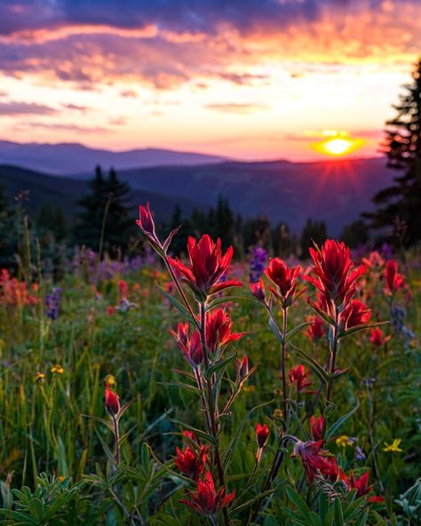 When the Colorado Rockies put on a show >> Good Saturday Morning, Colorado Aesthetic, Colorado Trip, Colorado Photography, Good Saturday, Copper Mountain, Telluride Colorado, Insta Photos, Woodland Park