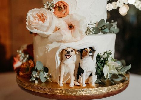 Wedding Cake Dog Eating, Wedding Cakes Dog, Cake Dog, Funny Wedding Cakes, Animal Babies, Wedding Cake Ideas, Fall Wedding Cakes, Simple Wedding Cake, Refined Wedding