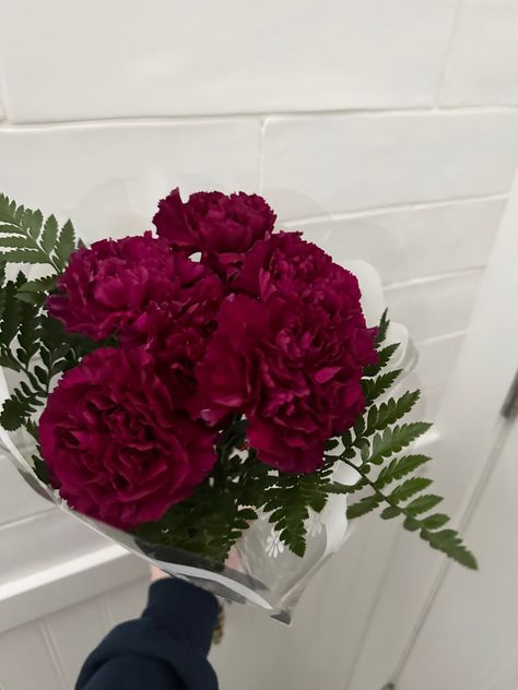 Maroon Carnations, Dark Red Carnation, Carnation Flower Aesthetic, Red Carnation Bouquet, Naomi Core, Carnation Wedding Bouquet, Carnation Flower Bouquet, Carnation Bridal Bouquet, Carnations Bouquet