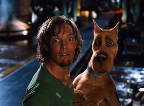 Matthew Lilard, Shaggy Scooby Doo, Scooby Gang, Scooby Doo Pictures, Matthew Lillard, Scooby Doo Movie, Shaggy Rogers, Shaggy And Scooby, New Scooby Doo