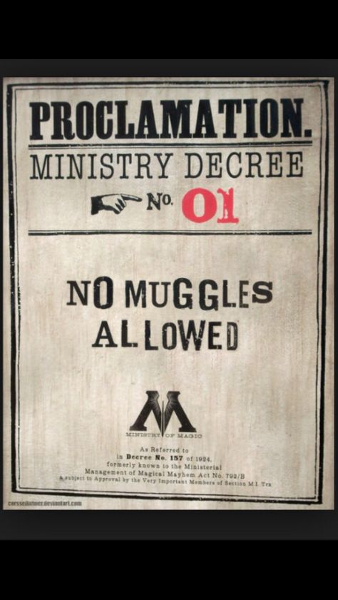 No muggles allowed Harry Potter Bridal Shower, Masked Ball, Harry Potter Room, Harry Potter Party, Harry Potter Fan, Its My Birthday, House Stuff, No Se, Hogwarts