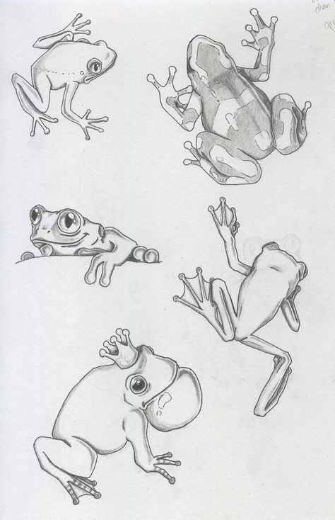 Frog Drawing Reference, Weird Anatomy, Frog Sketch, Tattoo Tree, Frog Drawing, Animal Drawings Sketches, Frog Art, Tree Frog, A Frog