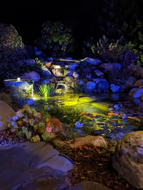 Backyard With Pond, Fish Ponds Backyard Water Features, Backyard Pond Deck Ideas, Pond In Backyard, Pond Backyard, Pond Lighting, Backyard Koi Pond With Waterfall, Small Koi Pond With Waterfall, Backyard Pond