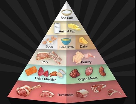 Paleo Food Pyramid, Keto Food Pyramid, Lion Diet, Carnivore Keto, Easy And Healthy Breakfast, Keto Carnivore, The Carnivore Diet, Paleo Mom, Calzone Recipe