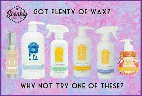 Scentsy Cleaning Products, Scentsy Pictures, Scentsy Consultant Business, Scentsy Games, Scentsy Facebook Party, Scentsy Marketing, Selling Scentsy, Scentsy Products, Scentsy Consultant Ideas