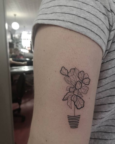 Ficus Lyrata, Plant Tattoo, Trx, Triangle Tattoo, Geometric Tattoo, Tatting, Seattle, Wallpapers, Tattoos