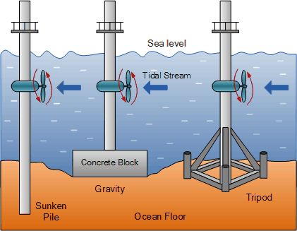 Tidal Stream Supports Tidal Power, Tidal Energy, Nautical Terms, Submarine Cable, Paper Mechanics, Sea Mammal, Moving Water, Kinetic Energy, Electrical Energy