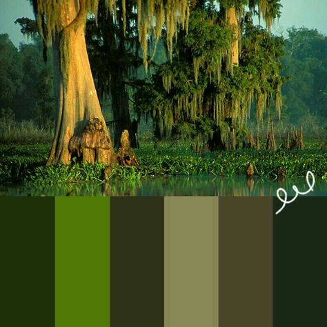 Swamp color palette Swampy Color Palette, Marsh Color Palette, Swamp Colour Palette, Swamp Color Palette, Paint Color Schemes, Inspire Creativity, Color Spectrum, Aesthetic Colors, Experiential