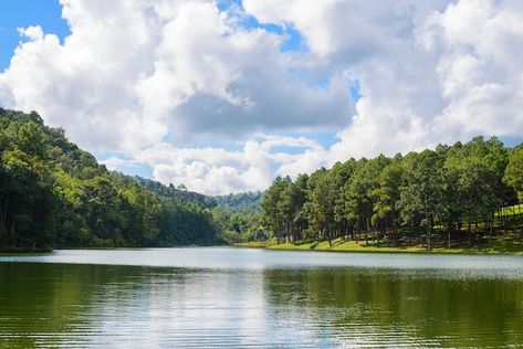 Lake with trees at the sides | Free Photo #Freepik #freephoto #lake-view #lake-background #river #view-background Lake With Trees, Tropical Island Beach, Water Background, Maldives Island, Beautiful Landscape Photography, Spring Background, Sky Landscape, Landscape Background, Summer Backgrounds