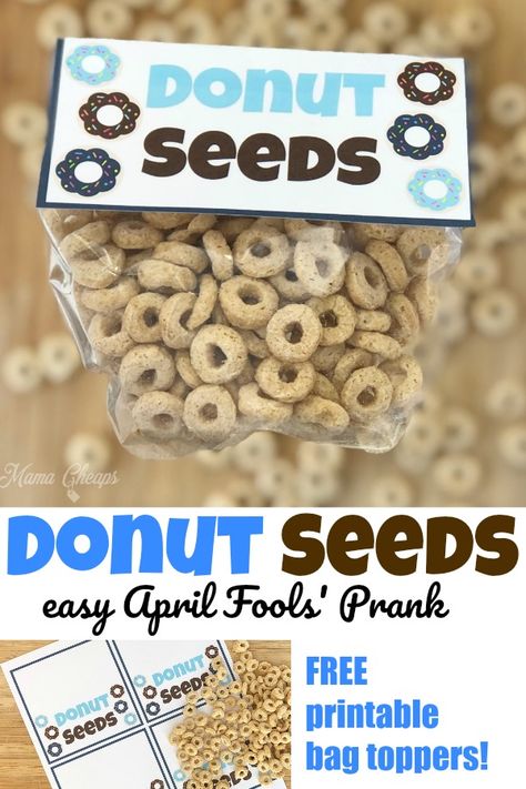 Donut Seeds, Pranks For School, April Fools Food, Funny April Fools Pranks, Food Pranks, Easy Pranks, Prank Ideas, April Fool's Prank, Pranks For Kids