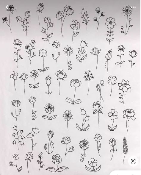 Ways To Draw Flowers, Small Flower Drawings, Flower Drawing Simple, How To Draw Flowers, Wildflower Drawing, Doodle Art Flowers, Draw Flowers, Simple Line Drawings, Illustration Botanique