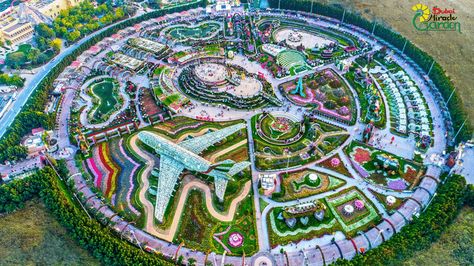 Dubai-Miracle-Garden---aerial-view Dubai Wallpaper, Million Flowers, Dubai Garden, Miracle Garden, Butchart Gardens, Dubai Travel, Palm Beach Gardens, Dream House Exterior, Single Flower