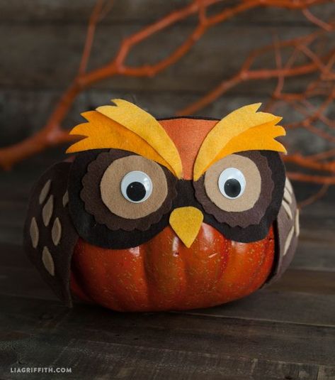 1000+ ideas about Owl Pumpkin on Pinterest | Owl Pumpkin Carving, Owl Pumpkin Stencil and Pumpkin Carvings October Pumpkins, Cat Costume Diy, Creative Pumpkin Decorating, Owl Pumpkin, No Carve Pumpkin Decorating, Pumpkin Mask, Autumn October, Felt Owl, Adornos Halloween