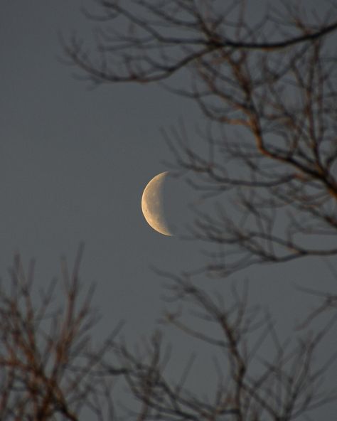 waning crescent moon phase | rest, digest, integrate, + release. turning to the moon for guidance as we fold this lunar cycle up as knowing and information for the next, processing + preparing the soil of my being to plant new seeds with this upcoming new moon in aquarius. i’ve been spending my time over at @herbalacademy photographing, like this minty mind hot chocolate. follow along with them for this recipe + many other herbal delights. #simpleandstill #wintering #countryhome #whimsicalw... New Moon In Aquarius, Waning Crescent Moon, Waning Crescent, Moon In Aquarius, Moon Cycle, Lunar Cycle, Moon Cycles, New Moon, Moon Phases