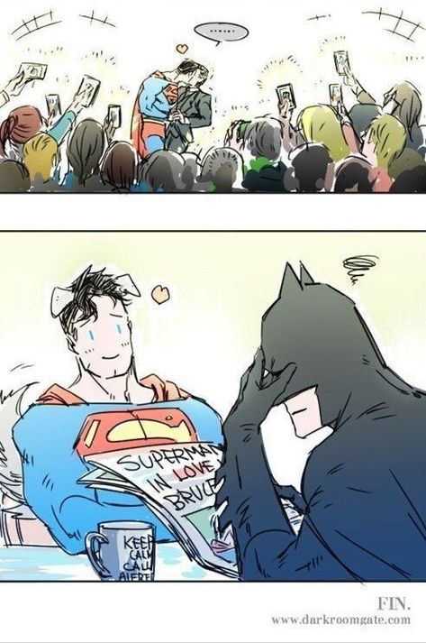 Math Comics, Dc Ships, Testament Of Sister New Devil, Superman X Batman, Superman X, Pokemon Alola, Univers Dc, Batman Funny, Batman Comic Art