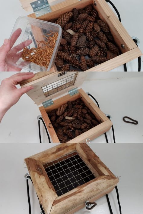 Hanging Digging Box - Enrichment Ideas | ZOOSnippets Raccoon Enrichment Ideas, Monkey Enrichment Ideas, Armadillo Enrichment, Coati Enrichment, Primate Enrichment Ideas, Enrichment For Zoo Animals, Zoo Enrichment Ideas, Animal Enrichment Ideas, Fox Enrichment