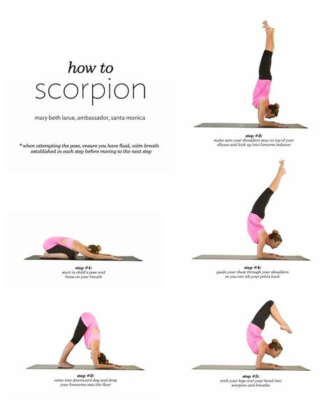 The Scorpion Scorpion Pose Yoga, Dance Flexibility Stretches, Scorpion Pose, Yoga Articles, Yoga Positions, Yoga Times, Ashtanga Yoga, Yoga Health, Gymnastics Workout