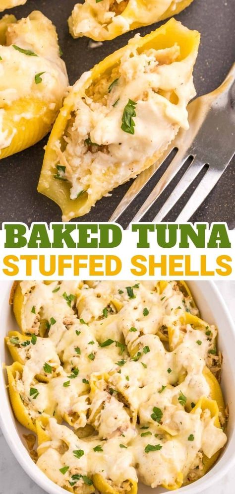 Tuna Stuffed Shells Recipe, Vegetarian Shrimp Recipes, Stuffed Shells With Seafood, Tuna Stuffed Shells, Stuffed Seafood, Seafood Shells, Jumbo Shell Recipes, Shell Recipes, Pasta Shells Stuffed