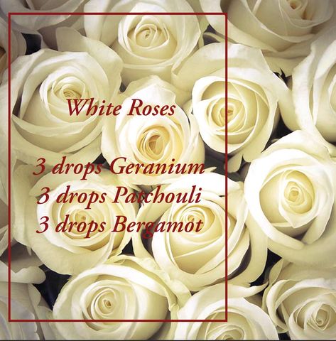 Rose Diffuser Blends, Feminine Essential Oil Blends, White Tea Essential Oil Blend, Mermaid Candle, Essential Oils For Asthma, Eo Blends, Essential Oil Perfumes Recipes, Homemade Perfume, Essential Oil Diffuser Blends Recipes