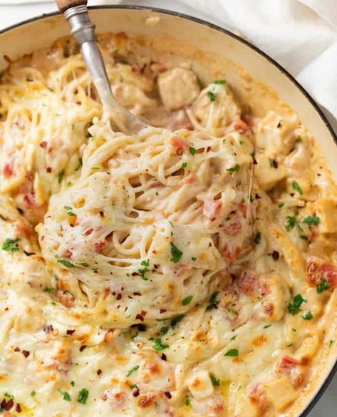 This Chicken Spaghetti recipe is easy to assemble and bake in a casserole dish with spaghetti covered in a creamy 3-cheese sauce with Rotel tomatoes and chicken! Chicken Scampi Recipe, Chicken Spaghetti Recipe, Chicken Spaghetti Casserole, Spaghetti Recipes Easy, Cozy Cook, Grilled Foods, Chicken Spaghetti Recipes, Meal Train Recipes, Spaghetti Casserole