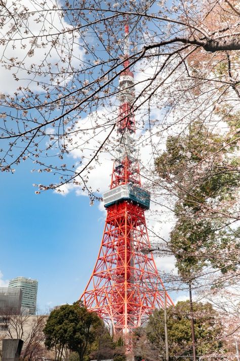 Top 5 Things to Do in Shiba - Minato, Tokyo - Japan Travel Minato City Tokyo, Tokyo Pictures, Minato Tokyo, Tokyo Picture, My Book Aesthetic, Japan Tips, Japan Tourist, Japanese Beer, Tokyo Skyline