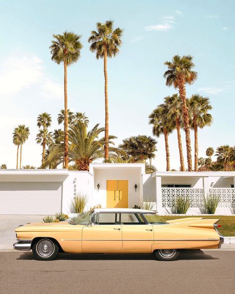 Modernism Week (@modernism_week) • Instagram photos and videos Vintage Palm Springs, Palm Springs Retro, Palm Springs Aesthetic, Paul Fuentes, Palm Springs Style, Spring Scene, Nostalgia Aesthetic, Palm Spring, Cadillac Deville