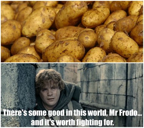 LOTR Potato meme Lord Of The Rings Potatoes, Lotr Potatoes, Potato Meme, Linguistics Humor, Tolkien Funny, Happy Potato, Top 20 Funniest, Lotr Funny, One Does Not Simply