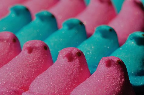 pink & electric blue peeps Cyan Blue Aesthetic, Pink And Teal Aesthetic, Candy Aisle, Visual Therapy, Soda Flavors, Color Boards, Colour Theme, Pink Shades, Branding Mood Board