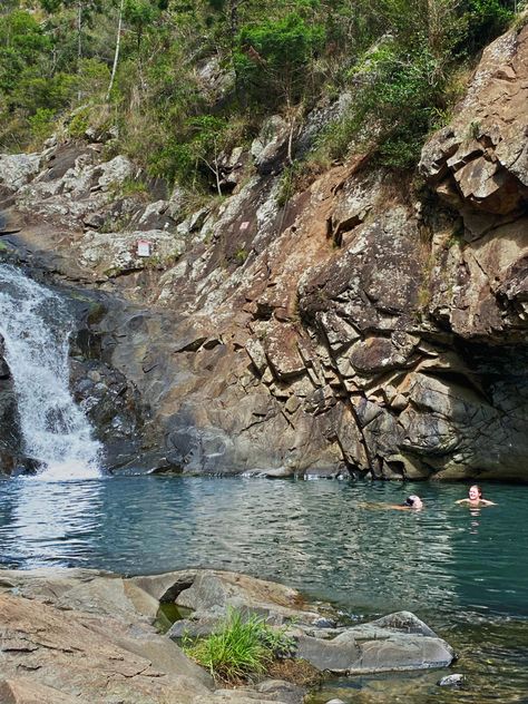 Cedar creek falls, waterfalls, freshwater creek, Mt Tamborine, creek Gold Coast, Gold Coast water falls Creek Swimming, Cedar Creek Falls, Waterfall Swimming, Mt Tamborine, Silly Words, Swimming Hole, Dream Summer, Cedar Creek, Swimming Holes