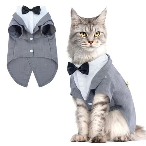 Halloween Costumes For Cats, Sphynx Clothes, Costumes For Cats, Cat Halloween Costumes, Tuxedo Outfit, Cat Tuxedo, Hairless Cats, Birthday Onesie, Outfit Costume