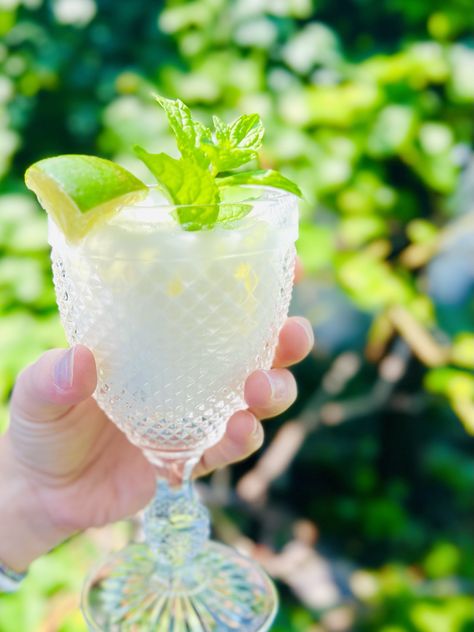 ~Egyptian Lemonade Refresher~ Egyptian Drinks, Egyptian Lemonade, Lemonade Refresher, Fresh Mint Leaves, Lemon Slice, Sweetened Condensed Milk, Fresh Lime, Whole Milk, Mint Leaves