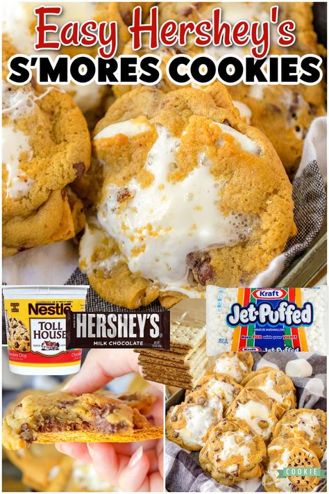 4 INGREDIENT S'MORES CHOCOLATE CHIP COOKIES - Family Cookie Recipes Cake Mix Smores Cookies, S’mores Chocolate Chip Cookies Easy, S’mores Chocolate Chip Cookie, S'mores Chocolate Chip Cookies, S'mores Chocolate Chip Cookie, Viral Smores Cookies, Easy S’more Cookies, Smore Chocolate Chip Cookies Easy, S'more Cookies Recipe