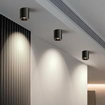 Hallway Light Fixtures, Led Ceiling Light Fixtures, Lamps For Living Room, Dimmable Ceiling Lights, Modern Led Ceiling Lights, Ceiling Spotlights, Ceiling Lamps, Hallway Lighting, Light Fixtures Flush Mount