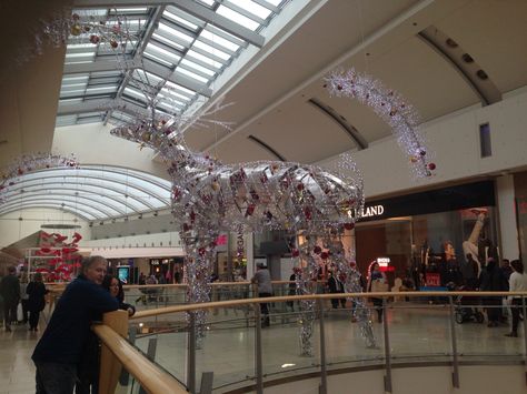 Metro centre Newcastle / Christmas decorations Newcastle Christmas, Newcastle University, Photographs And Memories, Newcastle, Fair Grounds, Christmas Decorations, Photographer, Christmas, Travel