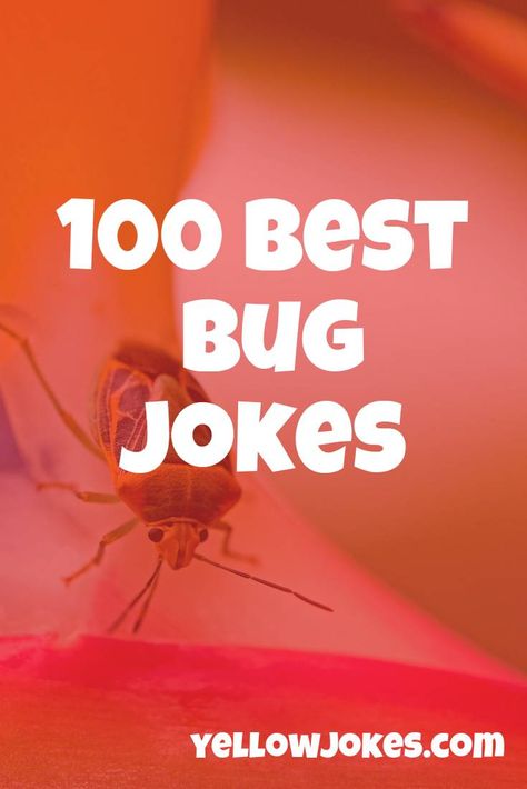 100 Best Bug Jokes Bug Jokes, Bug Puns, Funny Mosquito, Big Joke, Funny Jokes For Kids, Bad Puns, Jokes And Riddles, Jokes For Kids, Catch Phrase