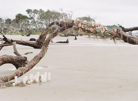 Bridal Arch, Driftwood Arch, Moodboard Branding, Beach Wedding Arch, Beach Wedding Decorations Reception, Portraits Ideas, Beach Inspiration, Eucalyptus Bouquet, Driftwood Beach