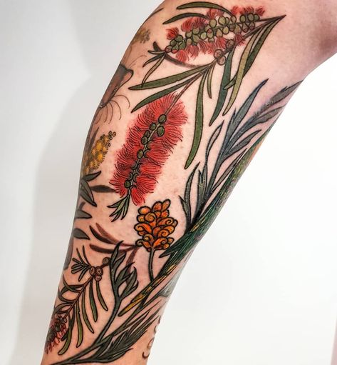 𝐃𝐑𝐄𝐀 𝐃𝐀𝐑𝐋𝐈𝐍𝐆 𝐓𝐀𝐓𝐓𝐎𝐎’s Instagram photo: “Some bottlebrush flower fillers for Leanne's leg to finish it off. ​ ​Callistemons are commonly known as Bottlebrushes because of their…” Bottle Brush Flower, Darling Tattoo, Flower Fillers, Zicxa Photos, Australia Tattoo, Tattoo S, Brush Tattoo, Filler Flowers, Wall Panels Bedroom