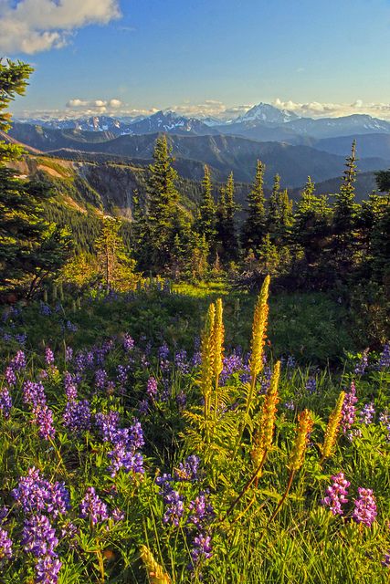 Pacific Northwest Trail, Washington Hikes, Thru Hiking, Pacific Crest Trail, Have Inspiration, Appalachian Trail, The Pacific Northwest, Lake View, The Pacific