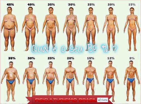 Body Fat Body Fat Percentage Chart, Body Fat Percentage Calculator, One Pound Of Fat, Body Fat Percentage, Visceral Fat, Pound Of Fat, Reduce Body Fat, Lose 30 Pounds, Lose Body Fat